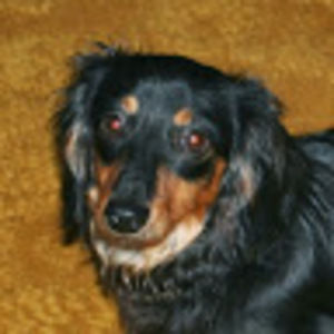 Meet your Posher, Seth